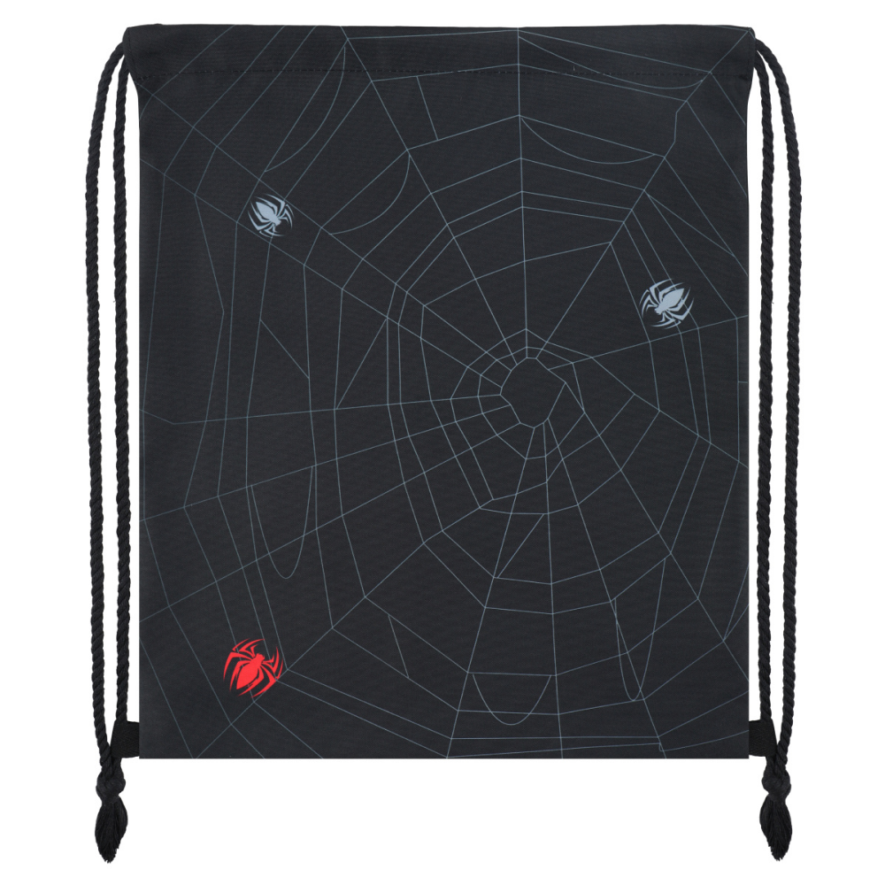 Мешок для обуви "Spider", черный
