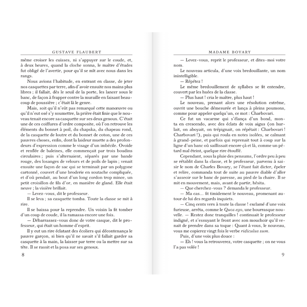 Книга на французском языке "Madame Bovary", Гюстав Флобер - 6