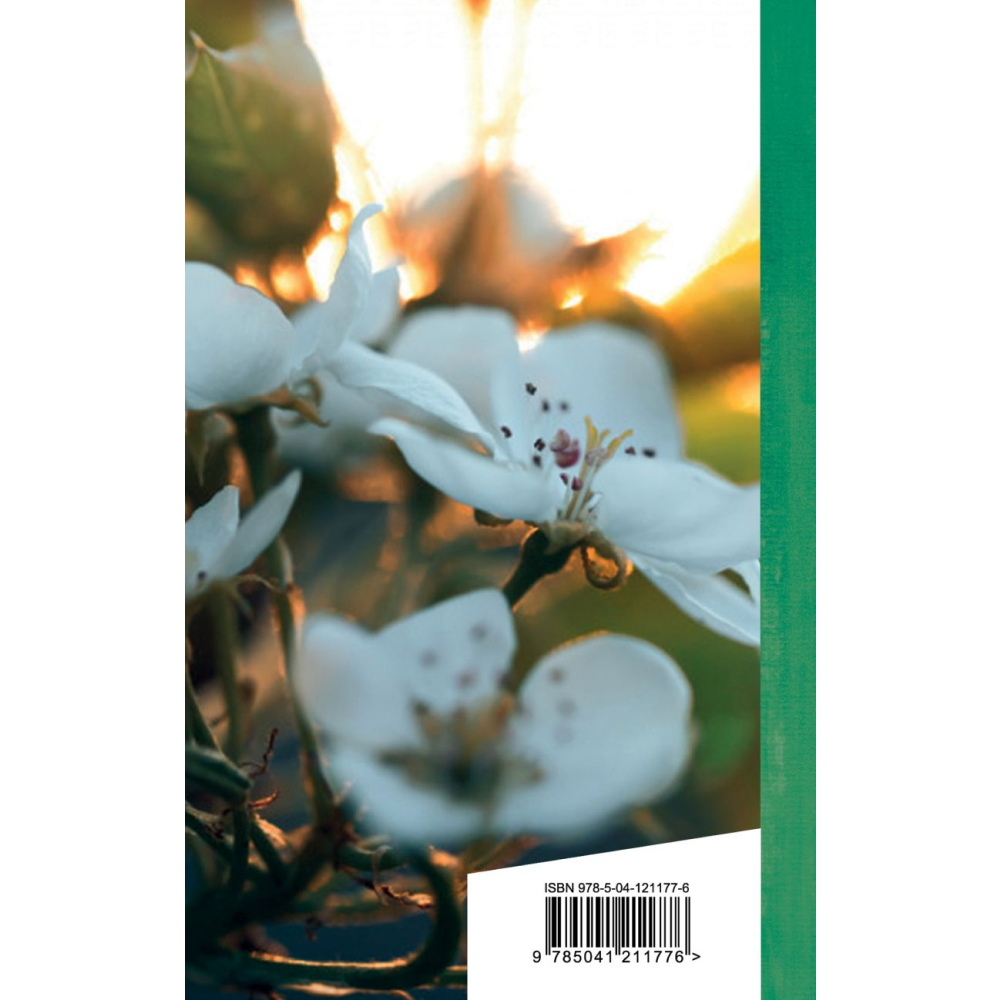 Книга "Золотая серия поэзии. Вчера еще в глаза глядел...", Цветаева М.