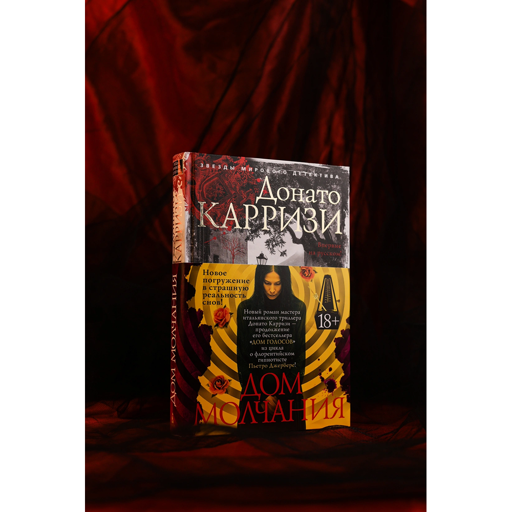 Книга "Дом молчания", Донато Карризи - 2