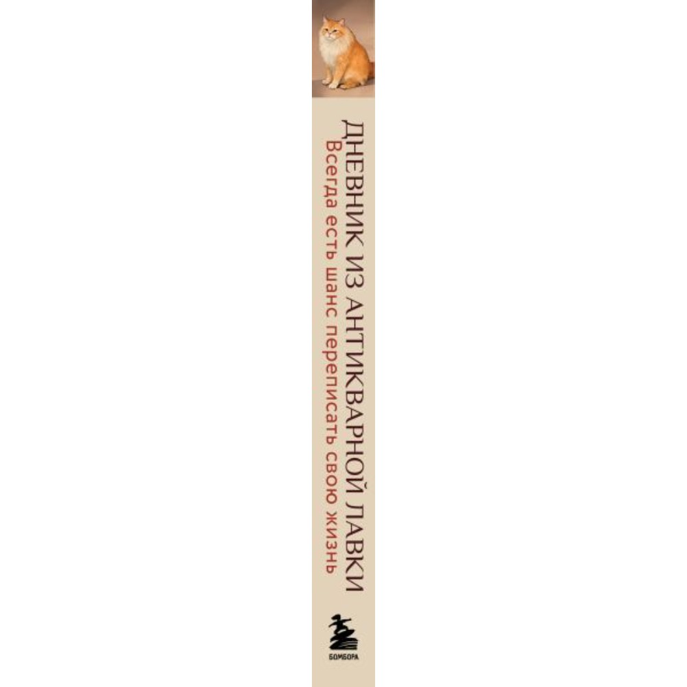 Книга "Дневник из антикварной лавки. Всегда есть шанс переписать свою жизнь", Ванесса Гёкинг - 3