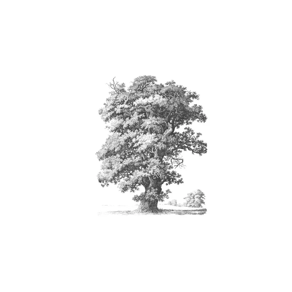 Книга "Яблочный пирог с загадкой", Татьяна Тарт - 5