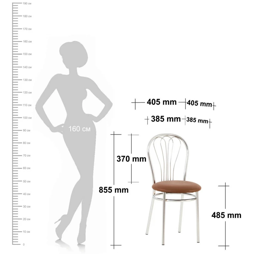 Стул SitUp VENUS Chrome - 6 Стул SitUp VENUS Chrome - 6