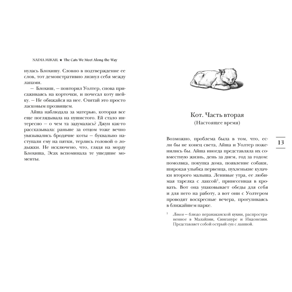 Книга "Выходя из дома, не забудьте кота", Надия Микаил - 6