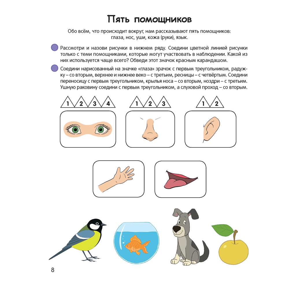 Книга "Умней-ка. 5-6 лет. Экологическая мозаика", Петрикевич А. А. - 5