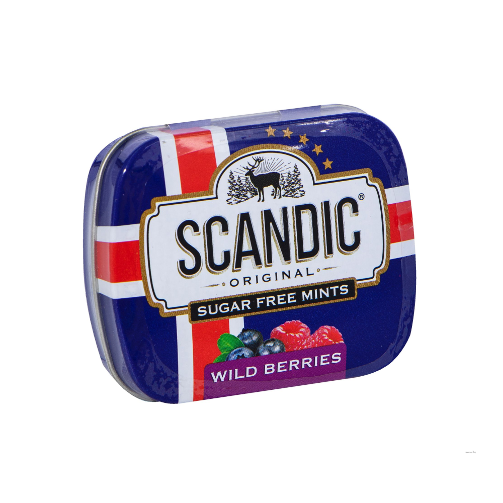 Конфеты  "Scandic", 14 г, без сахара, лесные ягоды