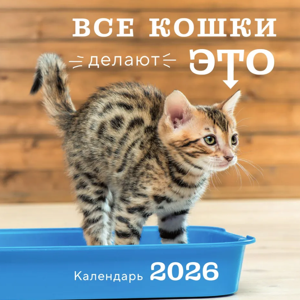 Календарь настенный перекидной "Все кошки делают это" на 2026 год