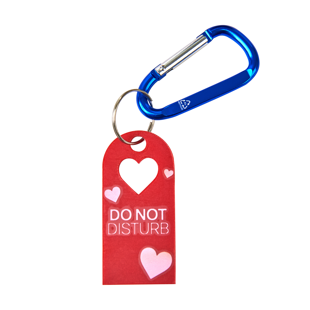 Брелок с карабином «Summertime sadness», красный