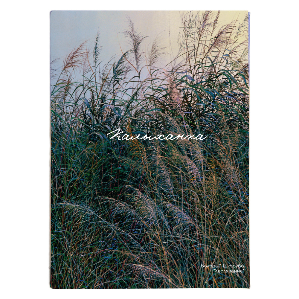 Обложка для паспорта "Волнение", Валерий Шкарубо, натуральная кожа, разноцветный