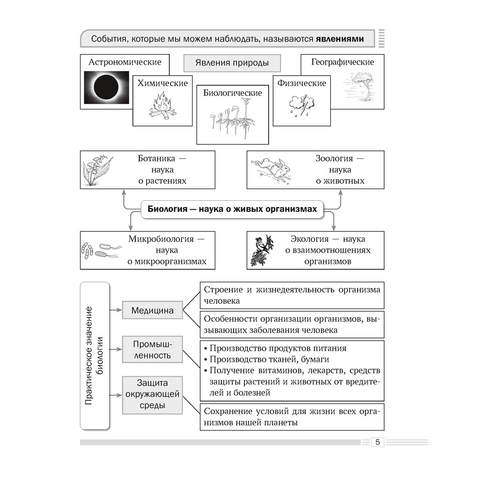 Книга "Биология. 6 класс. Опорные конспекты, схемы и таблицы", Лисов Н. Д. - 3