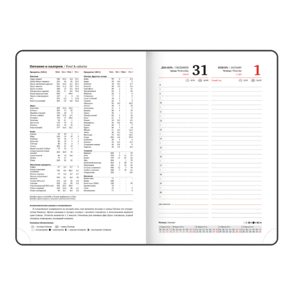 Ежедневник датированный "Control" 2026, А5, 336 страниц, синий - 5