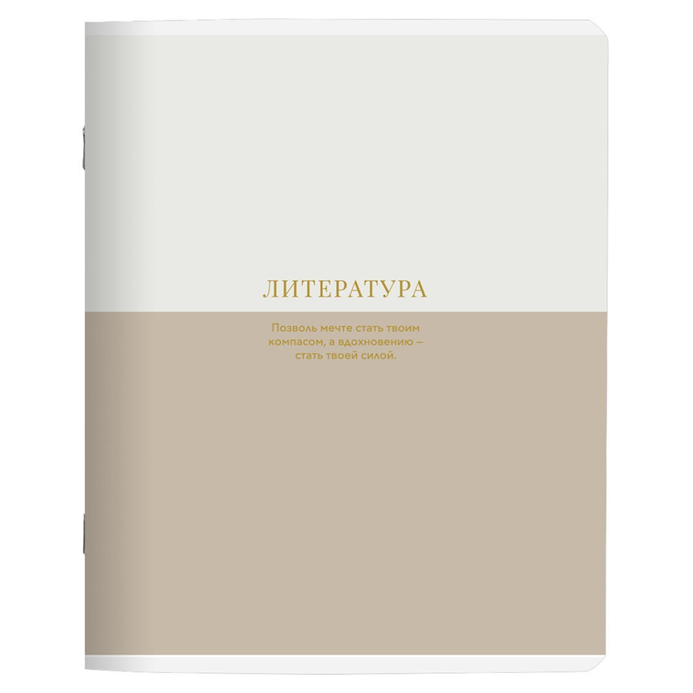 Тетрадь предметная "Believe. Литература", A5, 48 листов, клетка, разноцветный