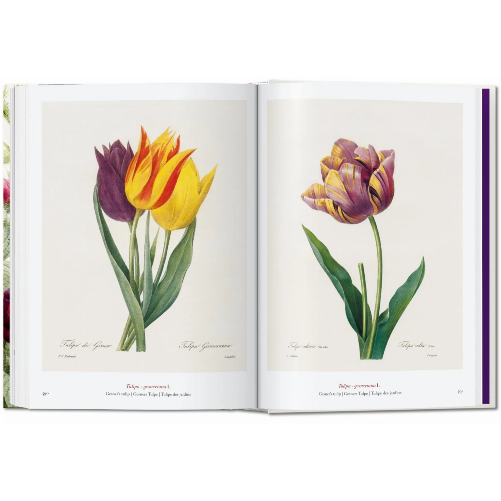 Книга на английском языке "The Book of Flowers", Pierre-Joseph Redoute