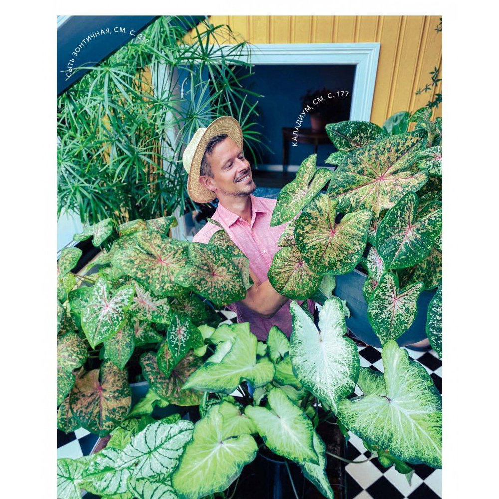 Книга "Urban Jungle. С любовью к растениям", Андерс Рёйнеберг, Эрик Шервен - 9