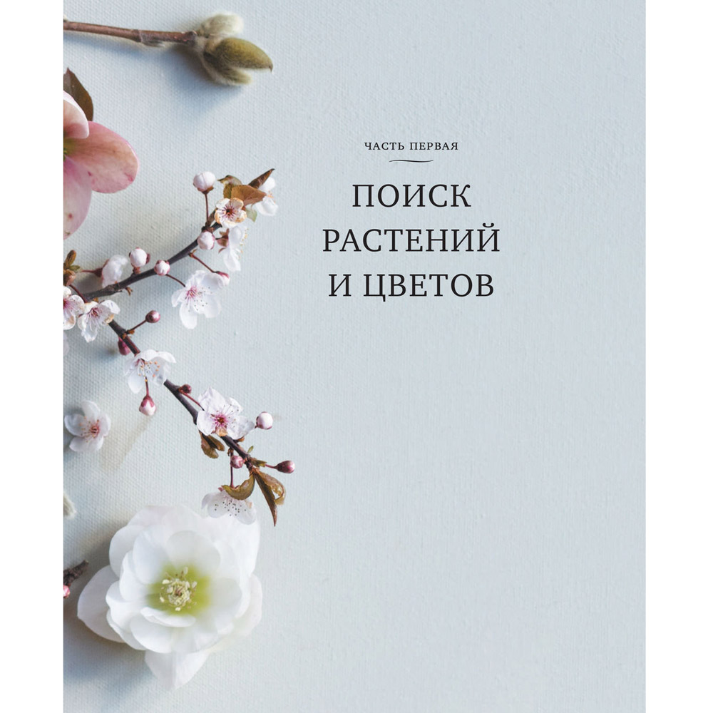Книга "Искусство цветочного дизайна. Принципы флористического стиля", Кристин Гил - 9