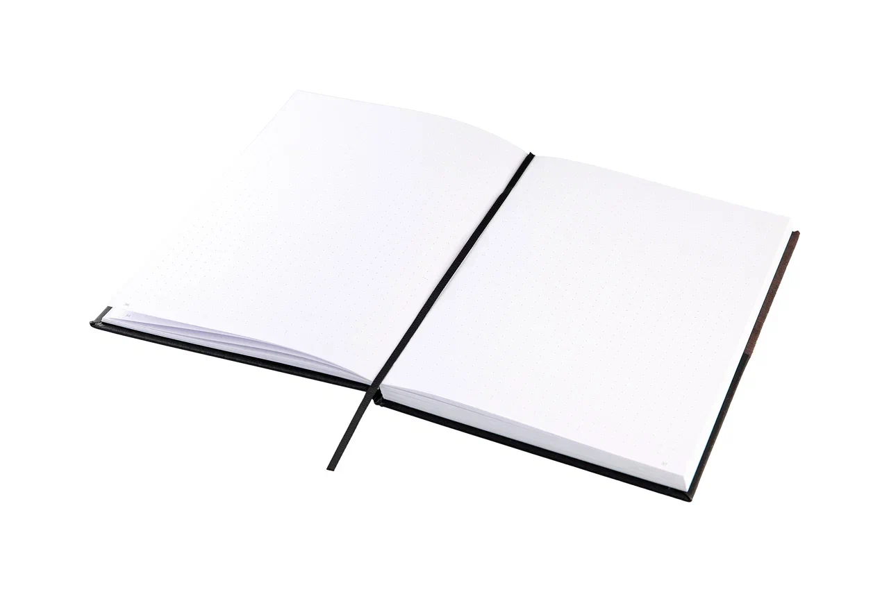 Блокнот "Стихия. Bullet Journal", А5, 80 листов, в клетку, черный - 13