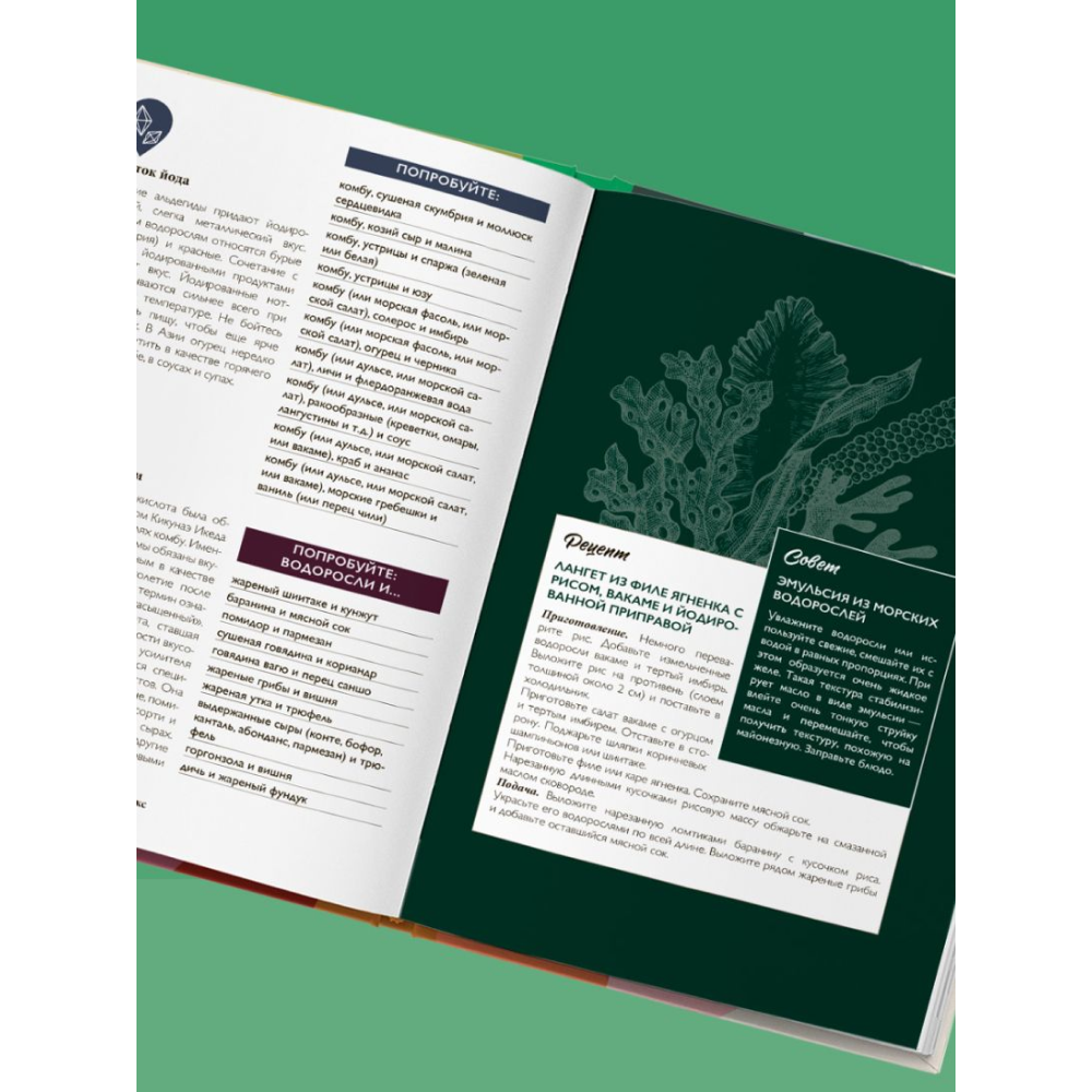 Книга "Алхимия вкуса. 1500 креативных вкусовых сочетаний и вдохновляющие рецепты", Омон Р., Маркс Т.  - 6