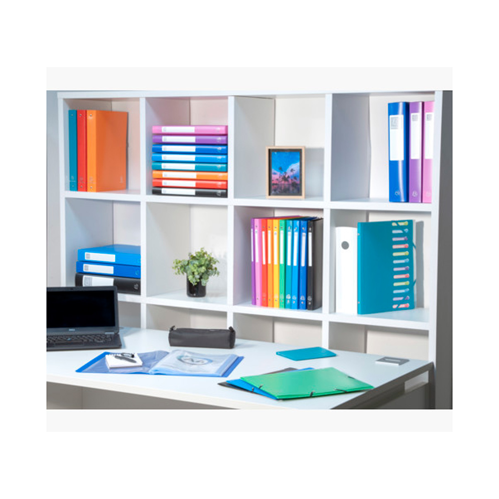 Папка c файлами "Exacompta", 60 карманов, ассорти - 14