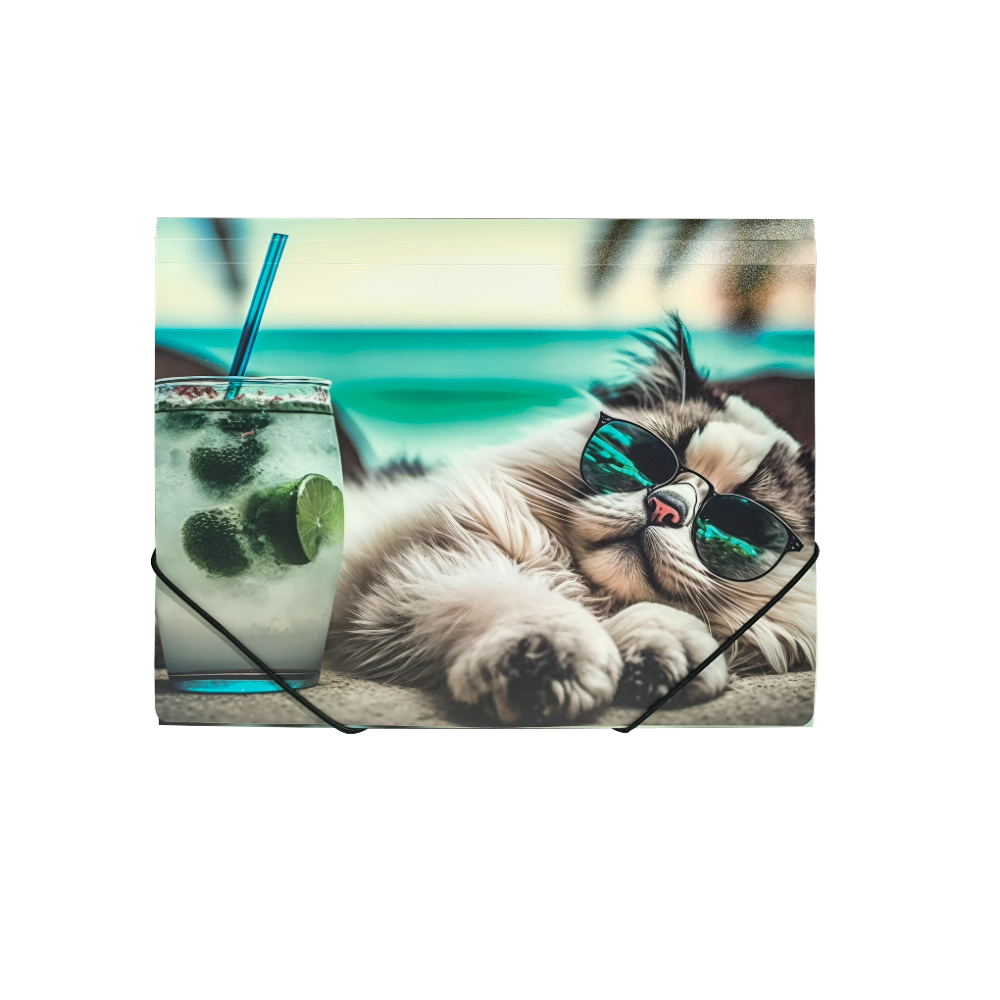 Папка на резинках "Chillout cat", пластик, 15 мм
