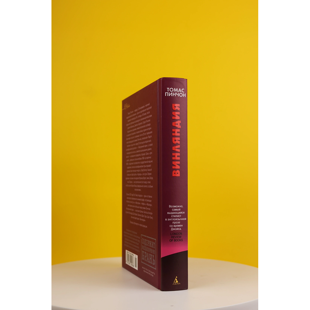 Книга "Винляндия", Томас Пинчон - 3