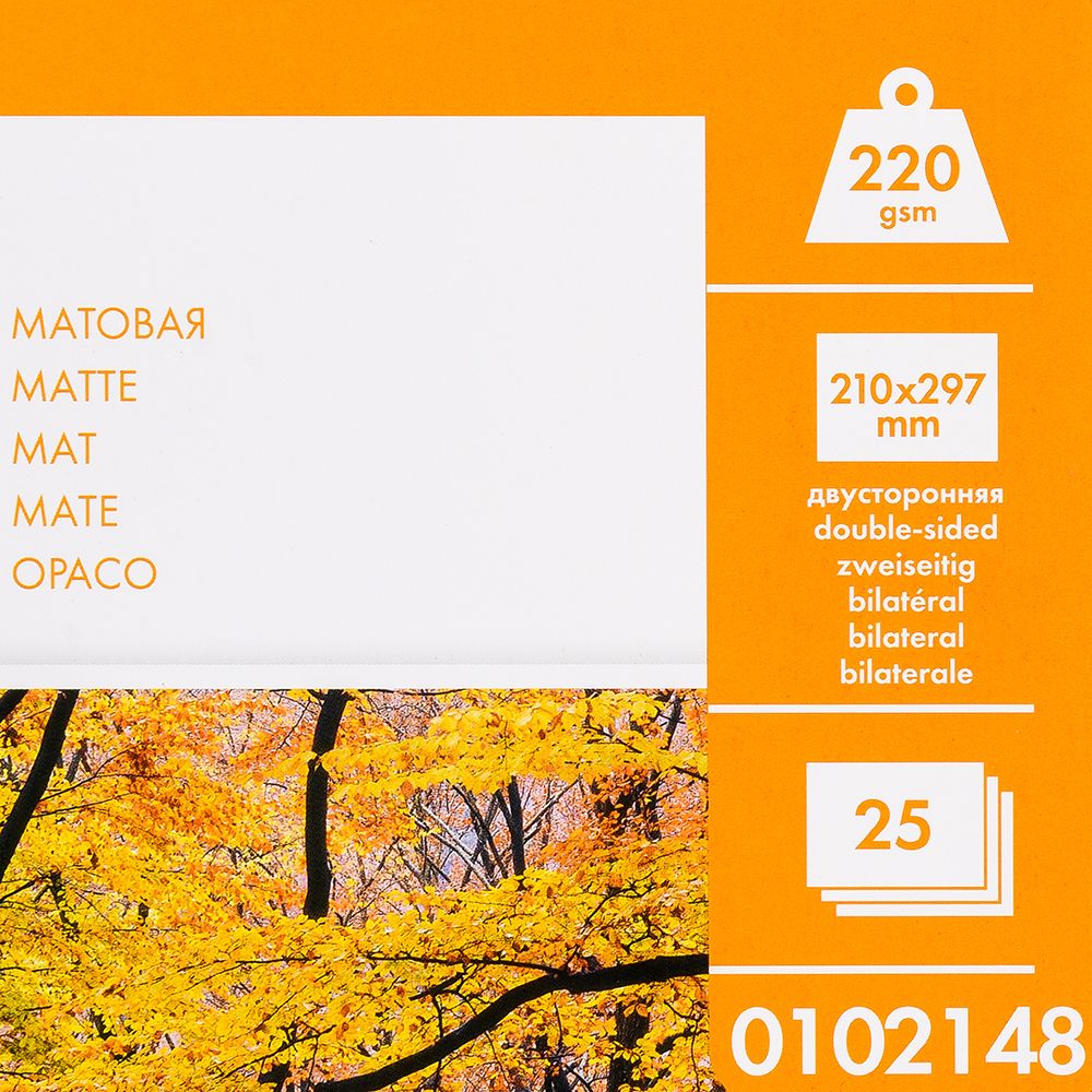 Фотобумага матовая для струйной фотопечати "Lomond", А4, 25 листов, 220 г/м2