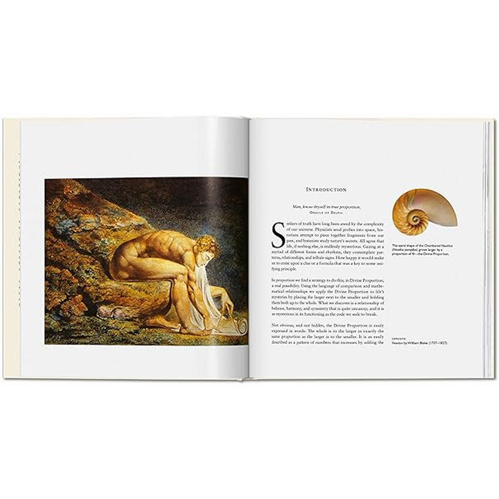 Книга на английском языке "The Secret Code. The Mysterious Formula That Rules Art, Nature, and Science", Priya Hemenway