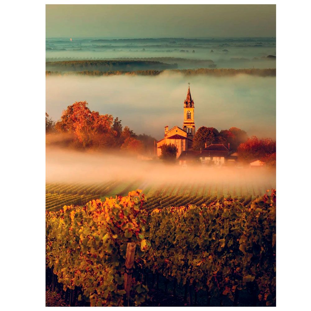 Книга "В погоне за вином. Винные туры по старому свету" - 3