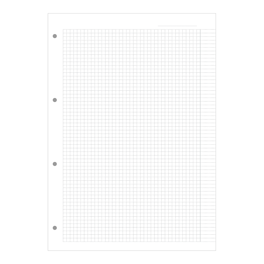 Сменный блок для тетради на кольцах "Basic", A4, 100 листов, клетка 