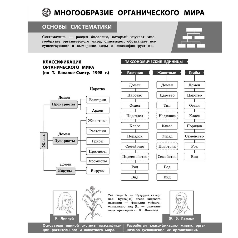 Книга "Биология в инфографике", Оксана Мазур - 4