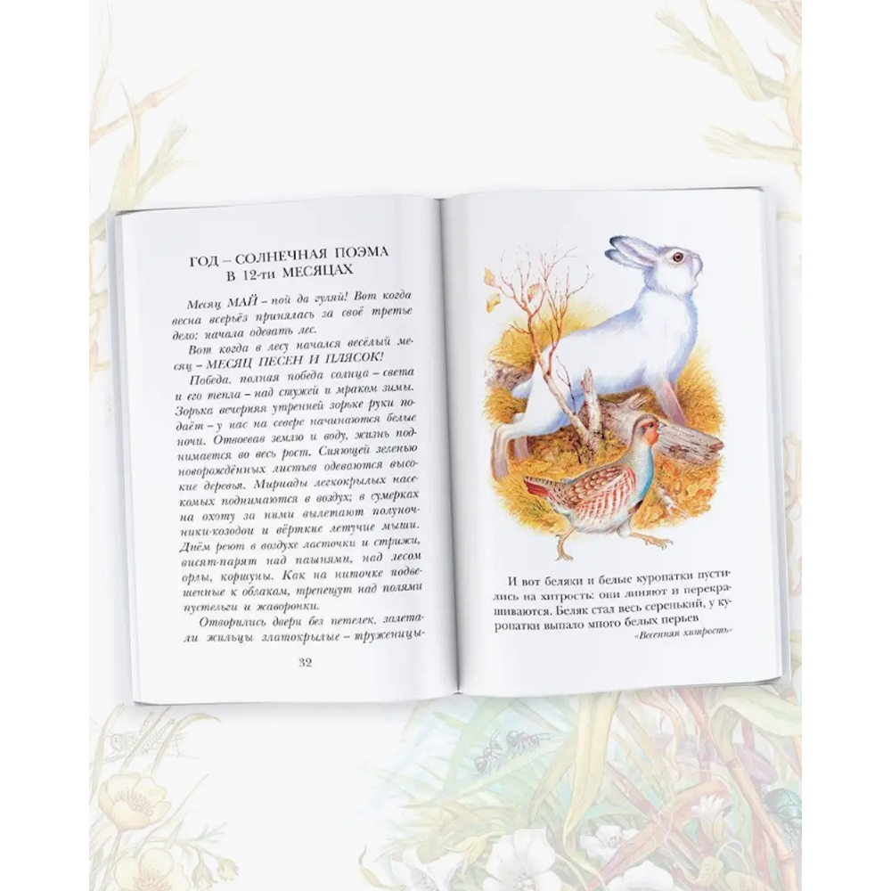 Книга "Детское чтение. Лесная газета. Рассказы", Виталий Бианки - 6