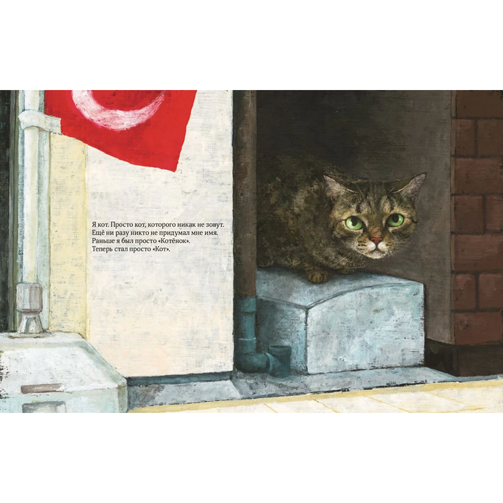 Книга "Кот без имени", Фумико Такэсита, иллюстрации Матида Наоко