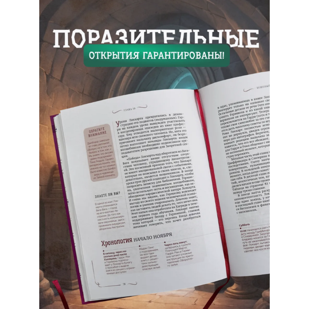 Книга "Библиотека Магии. Гарри Поттер. Тайная комната" - 10