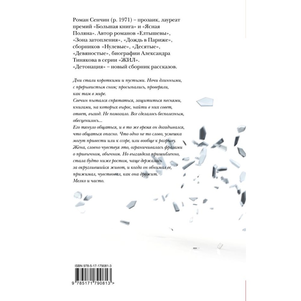 Книга "Детонация", Роман Сенчин - 3