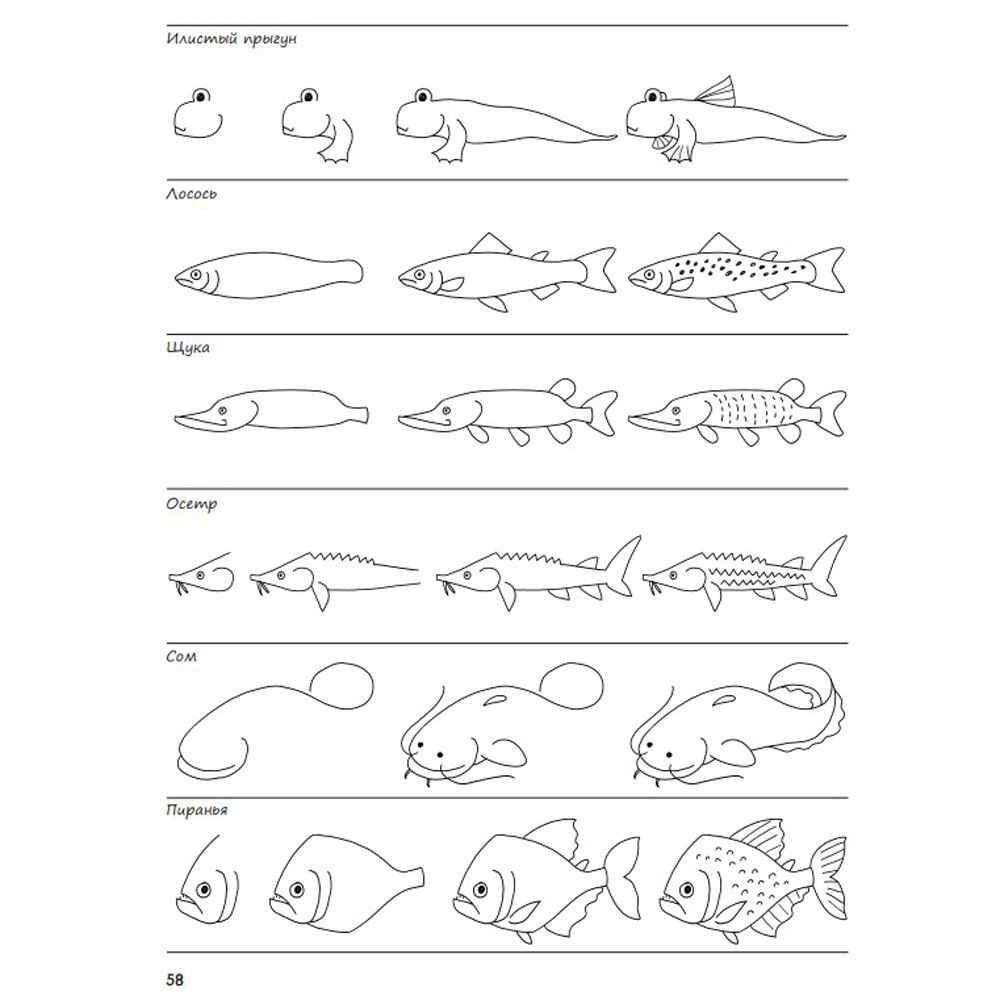 Книга "Я могу нарисовать 1000 вещей", Норберт Паутнер - 5