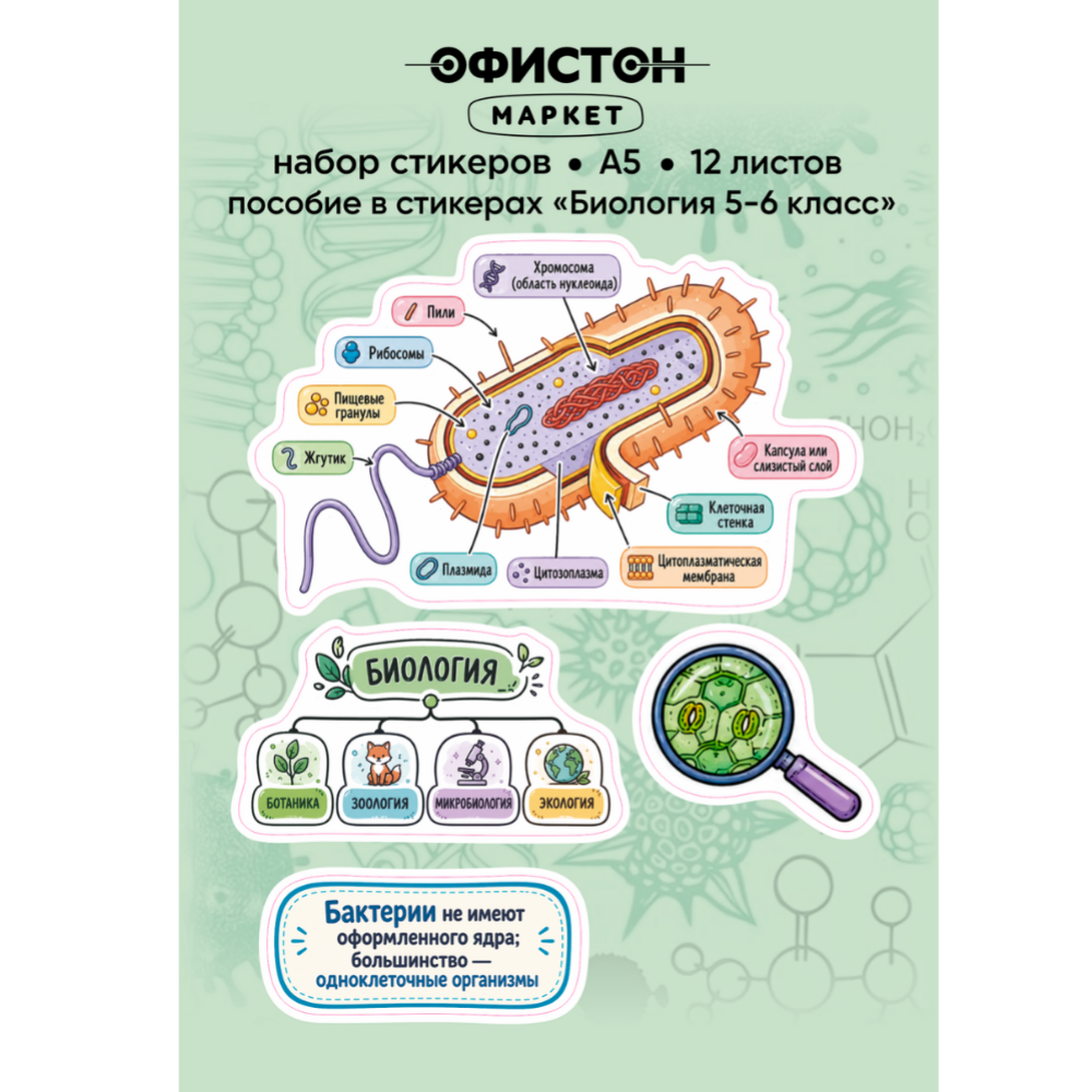 Стикерпак NALEPKING "Биология 5-6 класс", А6, 12 листов, 48 шт