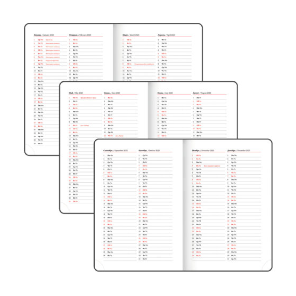 Ежедневник датированный "Control" 2025, А5, 336 страниц, красный - 6