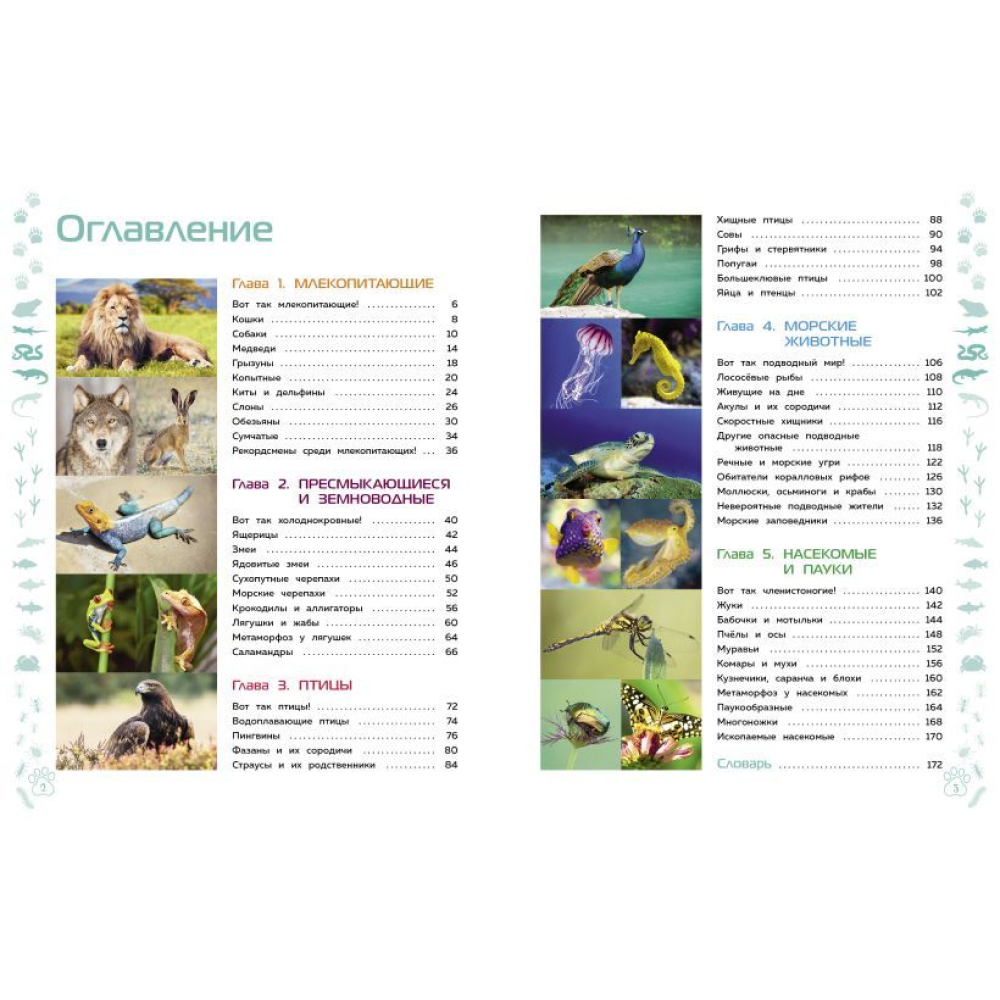 Книга "Животные. Большая детская энциклопедия"