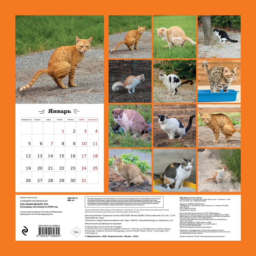 Календарь настенный перекидной "Все кошки делают это" на 2026 год