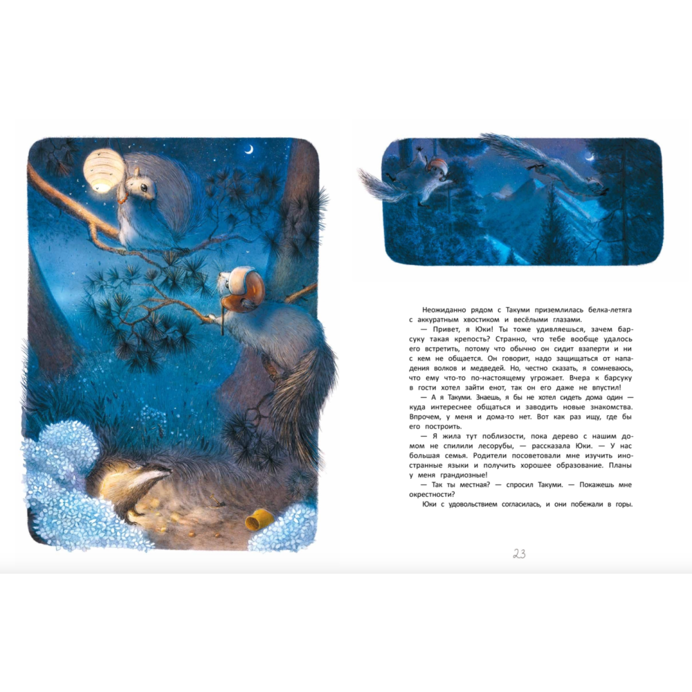 Книга "Летяга Такуми в Японии", Гаврилов А., Третьякова Е. - 4