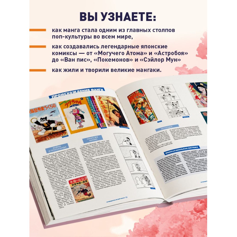 Книга "Путеводитель по миру манги: иллюстрированный гид", Лоран Лефевр, Матье Пинон - 5 Книга "Путеводитель по миру манги: иллюстрированный гид", Лоран Лефевр, Матье Пинон - 5