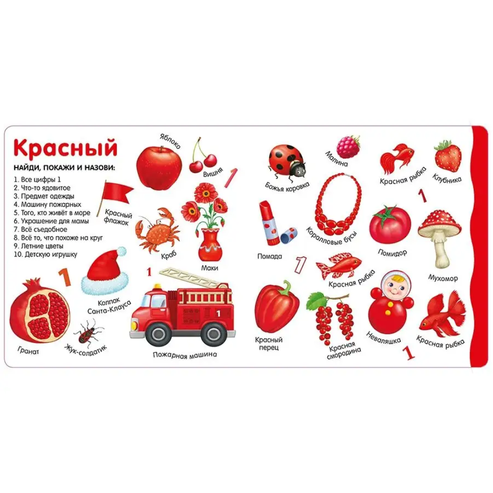 Книга "Изучаем цвета, слова, цифры"