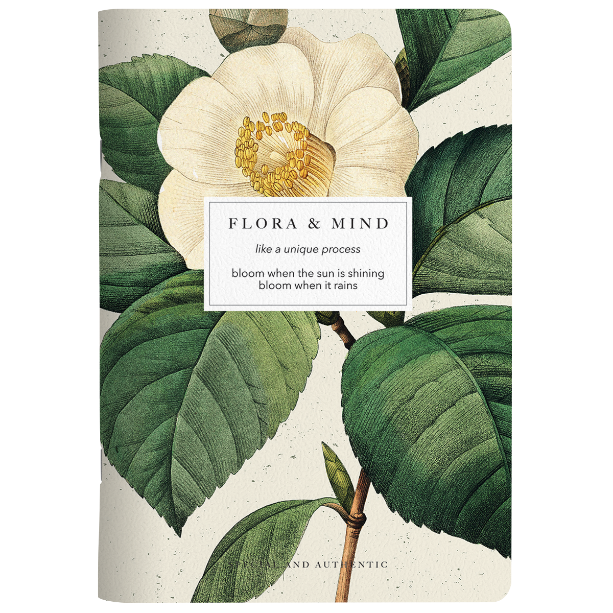 Тетрадь "Flora камелия", А5, 40 листов, клетка, разноцветный