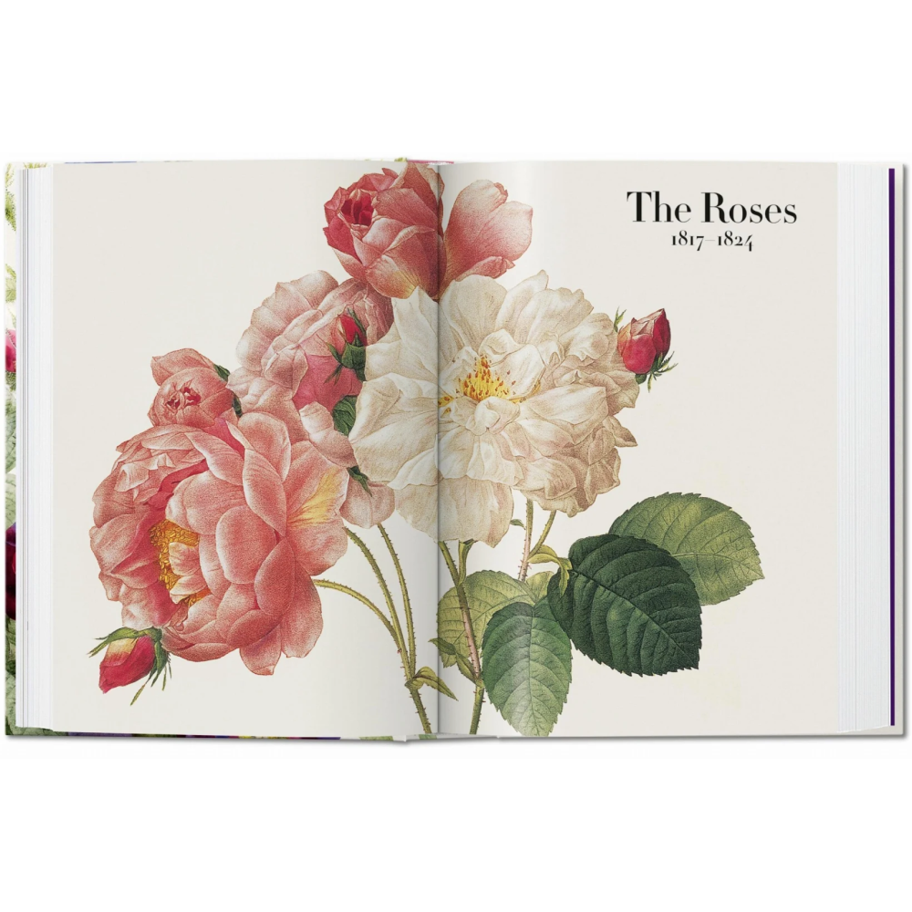 Книга на английском языке "The Book of Flowers", Pierre-Joseph Redoute - 4
