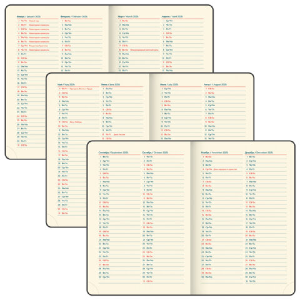 Ежедневник датированный "Infinity gold" на 2026 год, А5, 336 страниц, темно-зеленый, срез золотой - 8