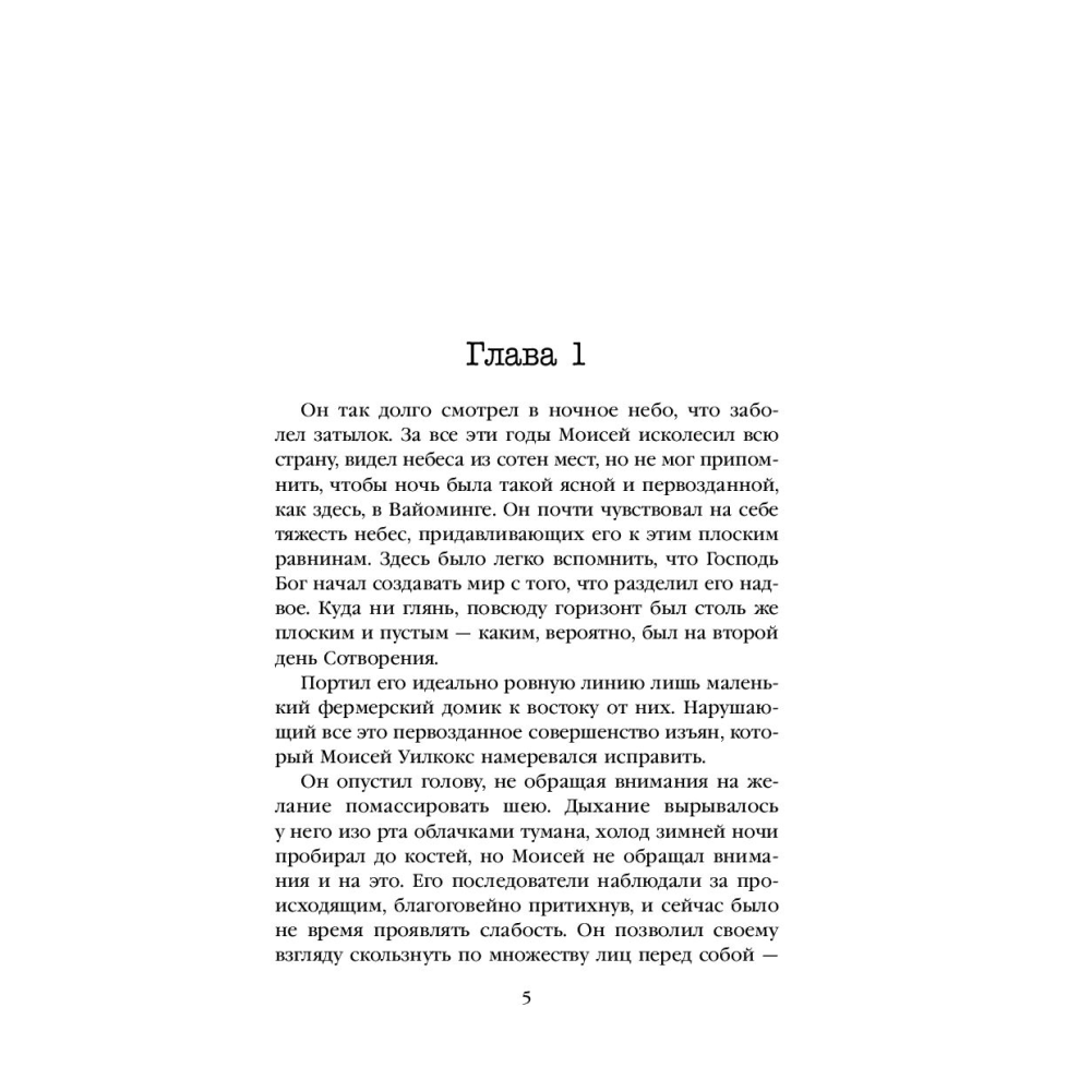 Книга "Пламя одержимости", Омер М. - 6