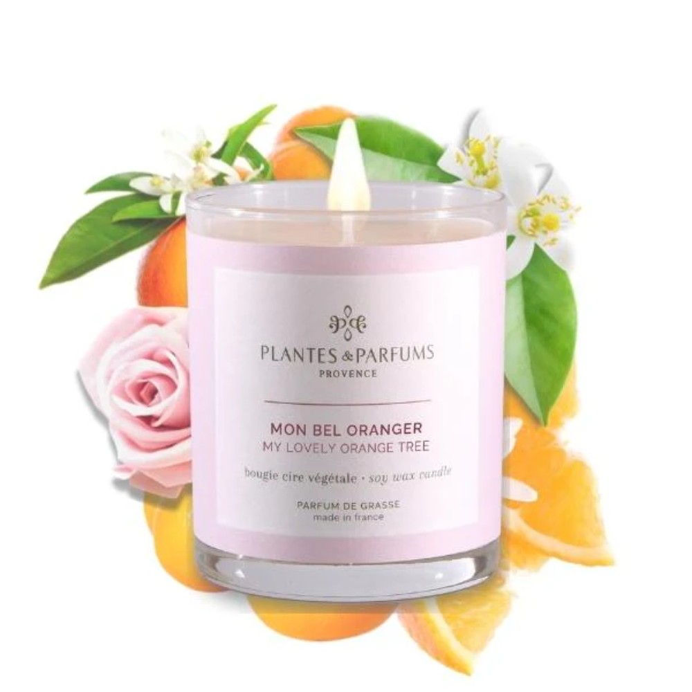Свеча ароматическая PLANTS&PARFUMS "My Lovely Orange Tree", 180 гр., подарочная упаковка