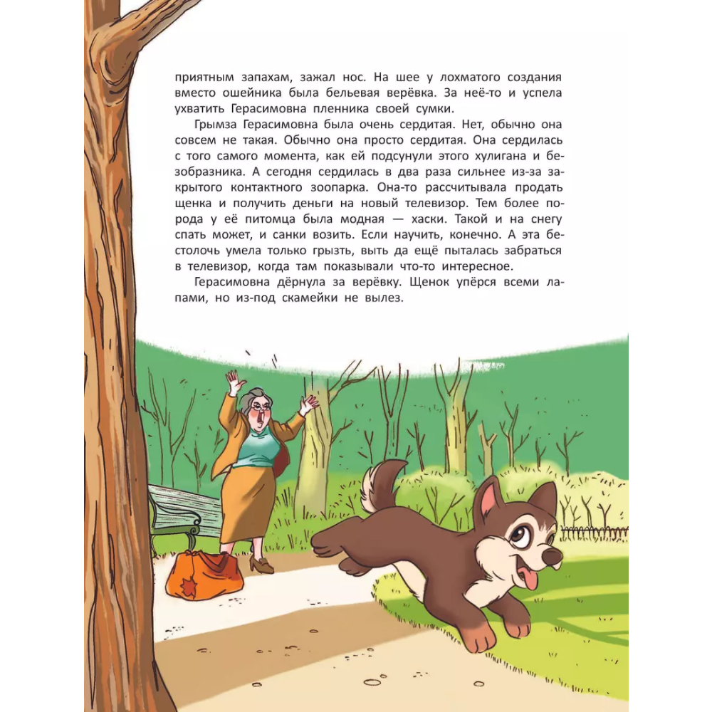 Книга "Приключения в Кармашкино", Ситников А. - 5