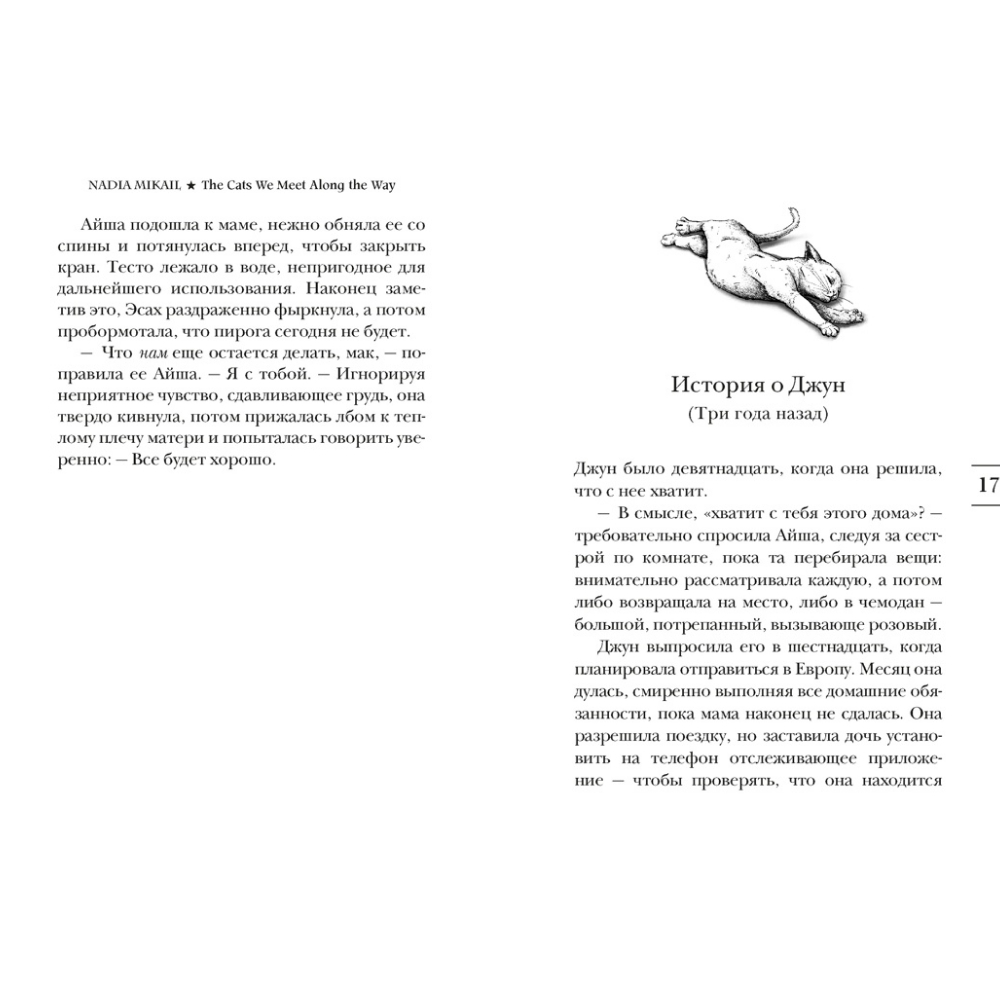 Книга "Выходя из дома, не забудьте кота", Надия Микаил - 8