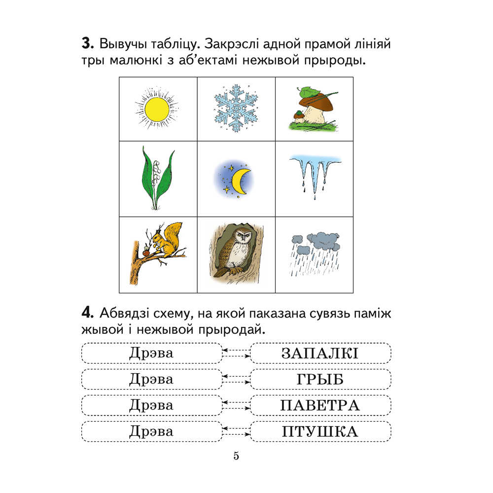 Чалавек i свет. 2 клас. Практыкум (з каляровымi iлюстрацыямi), Трафімава Г. У., Трафімаў С. А. - 5