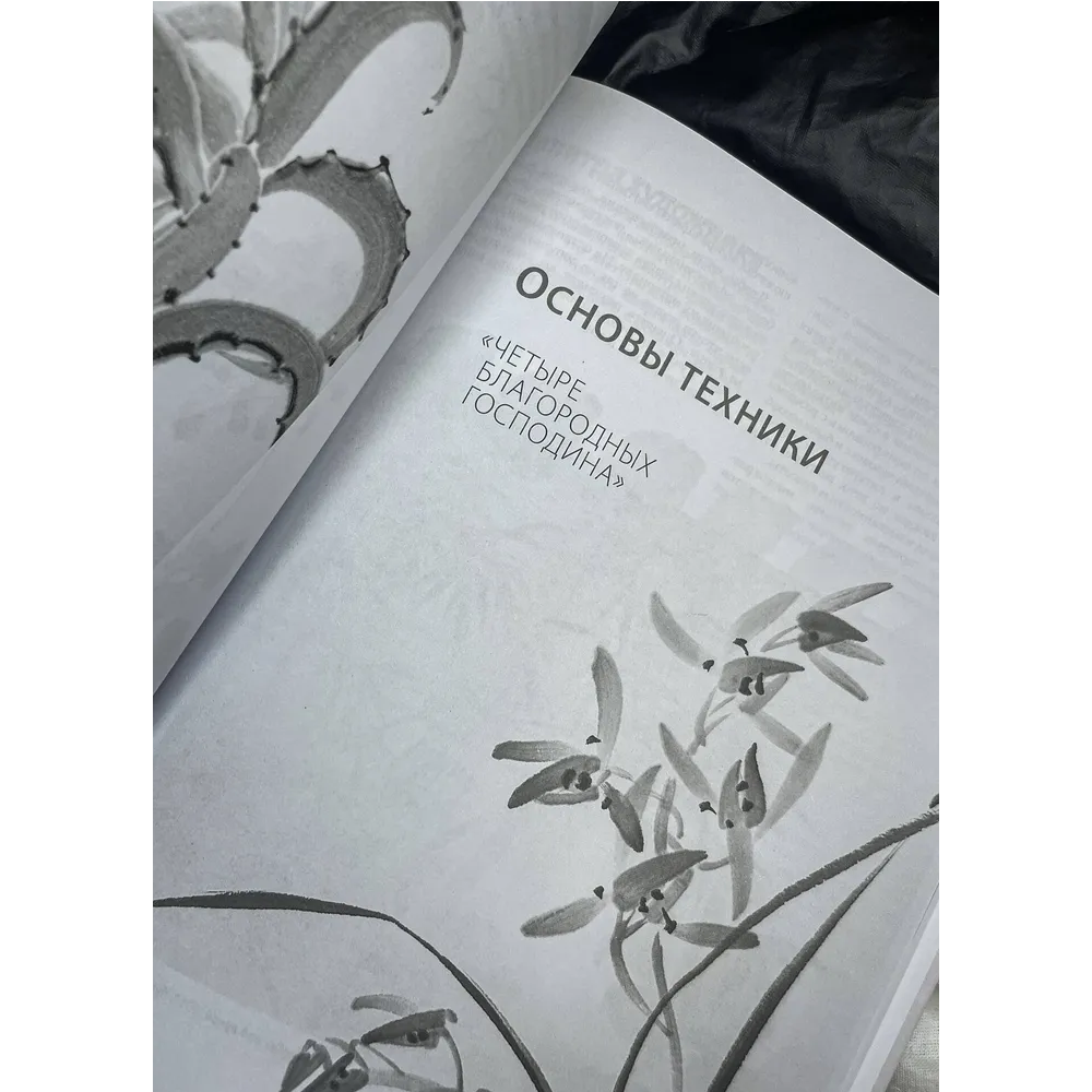 Книга "Основы японской живописи суми-э", Наталия Безвуляк - 2